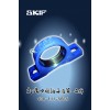 skif軸承座
