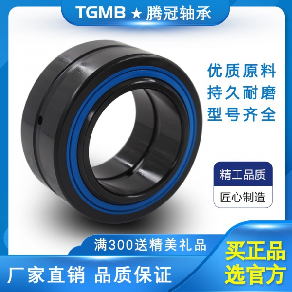 TGMB關節軸承GE200ES-2RS GE200DO