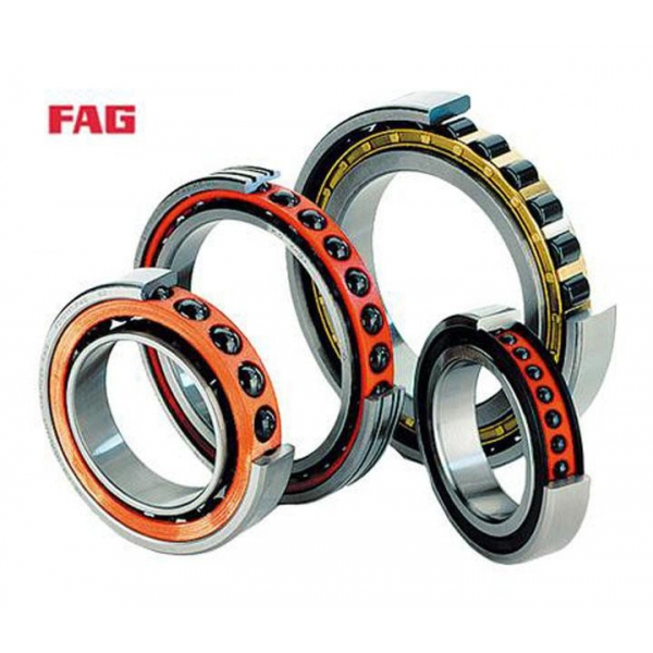 FAG軸承，河北fag進口軸承，邯鄲fag進口軸承代理