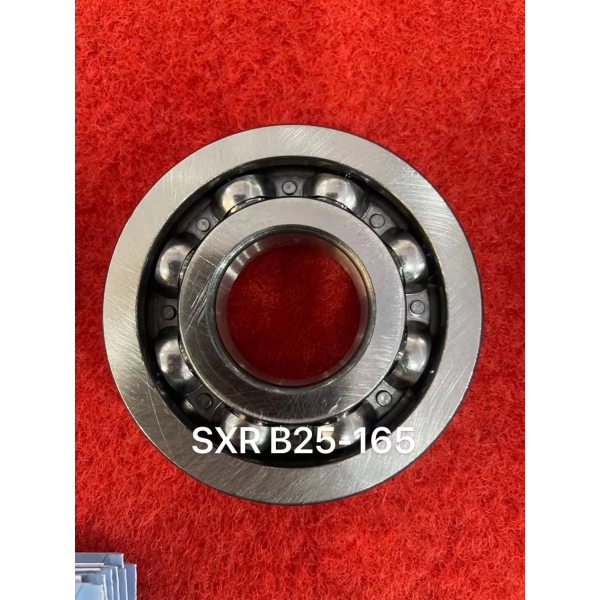 B25-165 黑邊黑角軸承